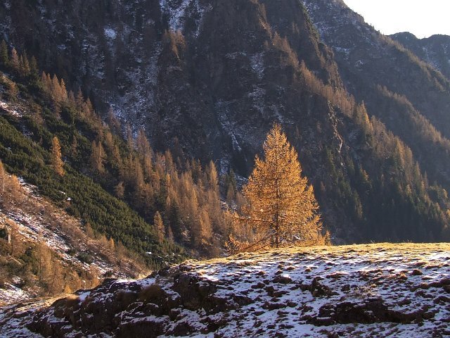 Laghi del Venerocolo (69)